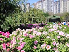 -洛阳市隋唐城遗址植物园