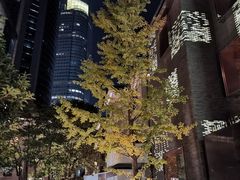 -徐家汇源景区-衡山坊