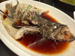 -全聚德(双井店)