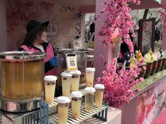 -桃花堤公园