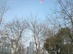 -浦江二号·独栋江景餐厅(滨江大道店)