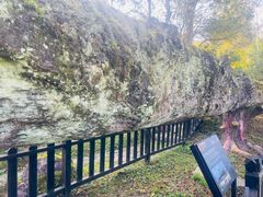 -唐崖土司城遗址