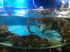 -望海潮海鲜店 特色家常菜(在海一方店)