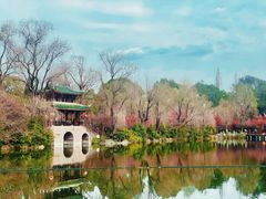 -棠湖公园