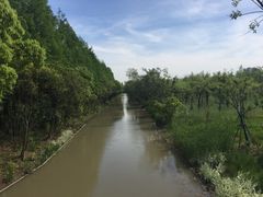-上海长兴岛郊野公园