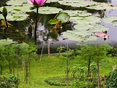 -云溪植物园
