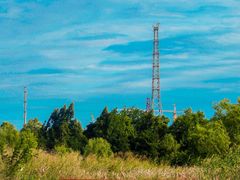 -白鹭湾湿地公园