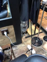 -青木造型HAIR·あおき髪を刈る潮人店
