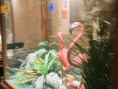 -星聚会KTV(景枫中心店)