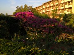 -南紀白浜 浜千鳥の湯 海舟