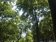 -秀丽东方