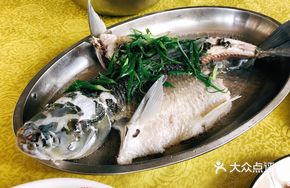 No Ginger Fish