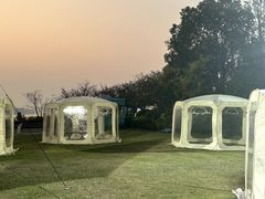 -苏州苏州湾艾美酒店-新食谱全日制餐厅