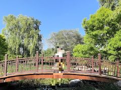 -莲花池公园