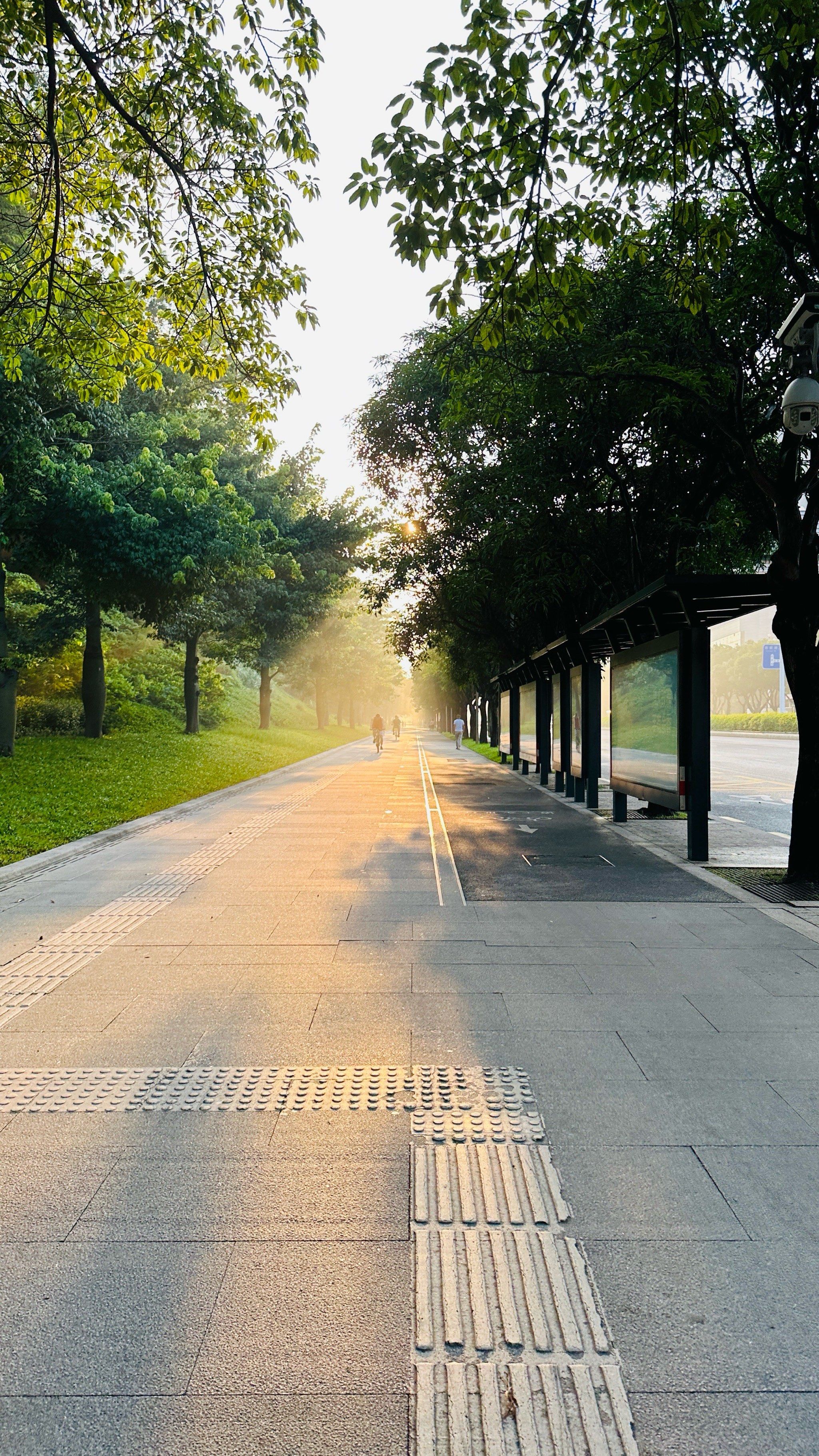 清晨公园跑步时光