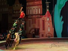 -俄罗斯国家大马戏团