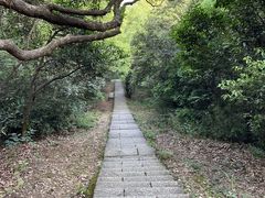 -杭州植物园