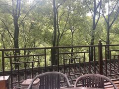 -巴倒烫陆派火锅山庄(南山总店)