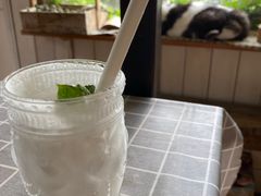 -海边的猫和咖啡馆