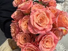 -龙大花卉苗木市场