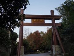 -龙井村