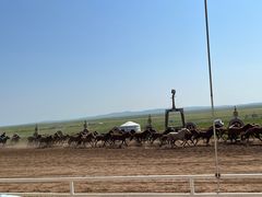 -呼伦贝尔大草原巴尔虎蒙古部落民俗旅游度假景区