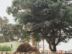 -滇池海埂公园