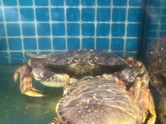 -南海渔家•海鲜•正宗海南菜(海棠湾店)