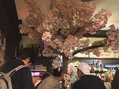 -金龙咖喱