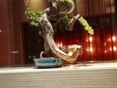 -南堂館川菜文化餐厅(天府店)