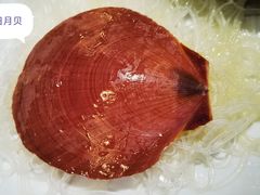 -琼菜王(南海店)