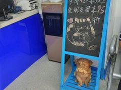 -睿金宠物医院·CT·肿瘤·骨外科
