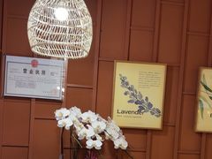 -LANN I 蘭·泰式古法按摩(高岛屋百货店)
