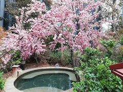 -悦隆庄温泉度假酒店