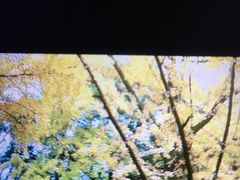 -大叔家福鼎小吃(十全街店)