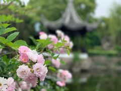 -台州府城(东湖)