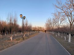 -永定河休闲森林公园