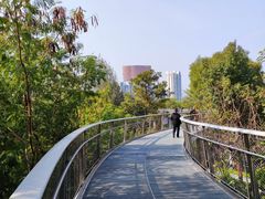 -狐尾山公园