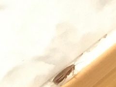 -川里谈·川味小馆(北京路店)