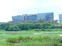 -华侨城湿地公园