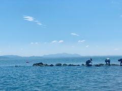 -大连蚂蚁岛度假区