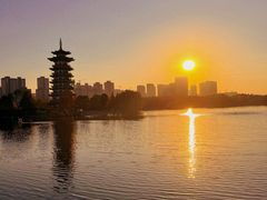 -洋湖国家湿地公园