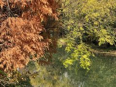 -昆山城市生态森林公园