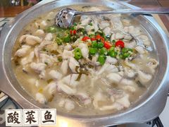 酸菜鱼-何哥鲜鱼餐厅(龙湖花园店)