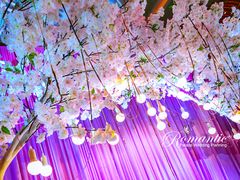 上海浪漫爱都婚礼策划-上海安亭别墅花园酒店