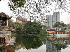 -荔湾湖公园