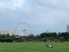 -万绿园