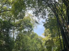 -成都杜甫草堂博物馆