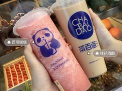 西瓜啵啵-茶百道(太原茂业天地店)