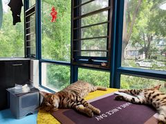 -路路通百辰汽车服务连锁(三合店)